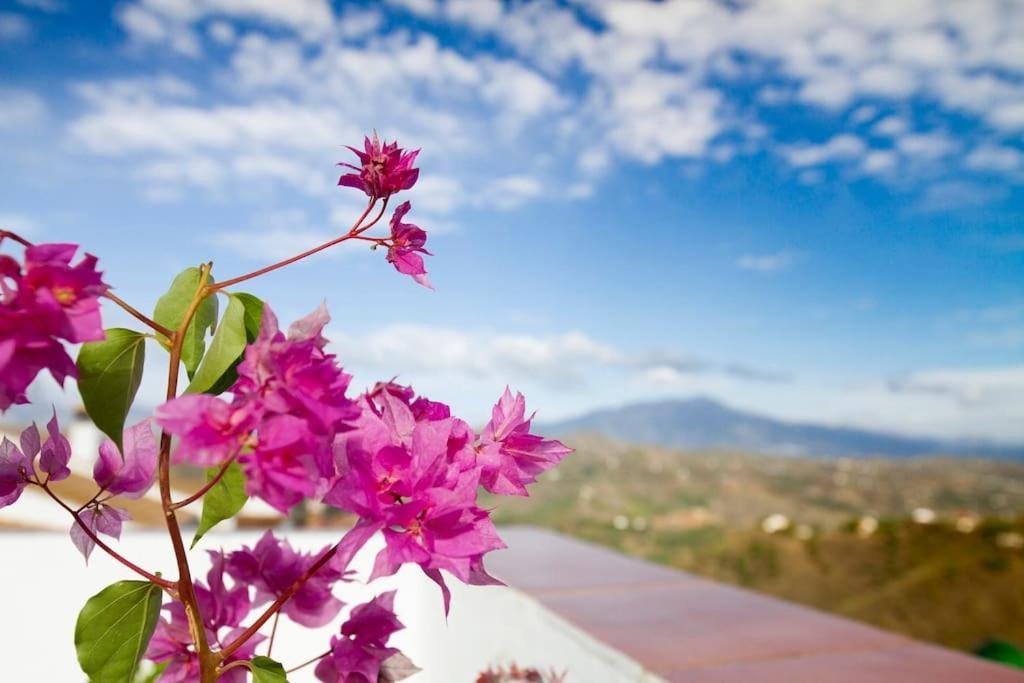 فيلا Cutarفي Rooftop Terrace & Panoramic Mountain View'S المظهر الخارجي الصورة
